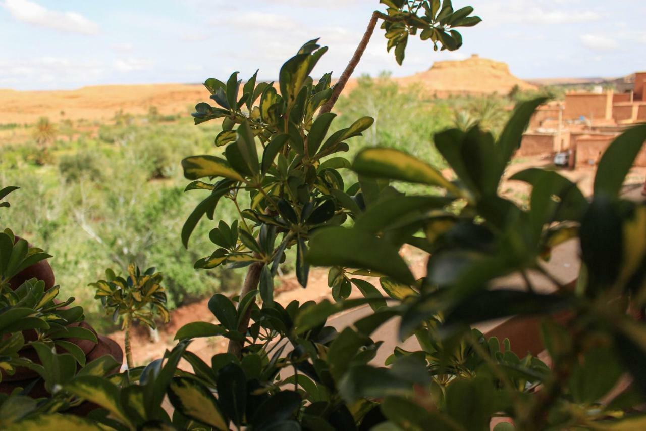 L'Oasis Du Bonheur Bed & Breakfast Ait Benhaddou Exterior photo